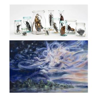 Dana Meyer & Wieland Payer: Expeditions - Galerie Rothamel, Frankfurt