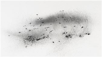 Cagla Koseogullari: They Were Just Constantly Flying In Circles - Sanatorium