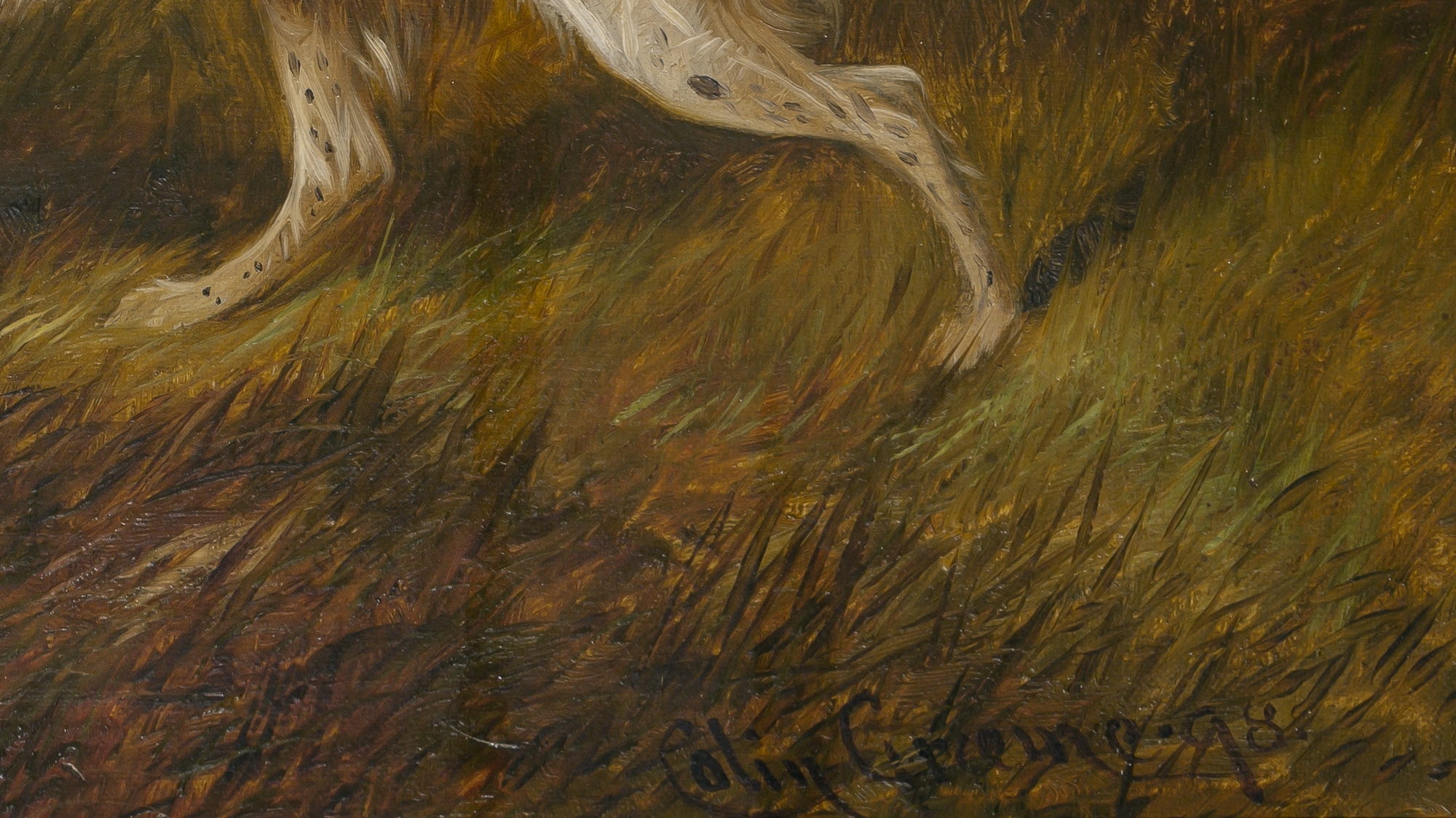 Colin Graeme Roe | Colin Graeme British, 1858-1910 Setters on Point ...