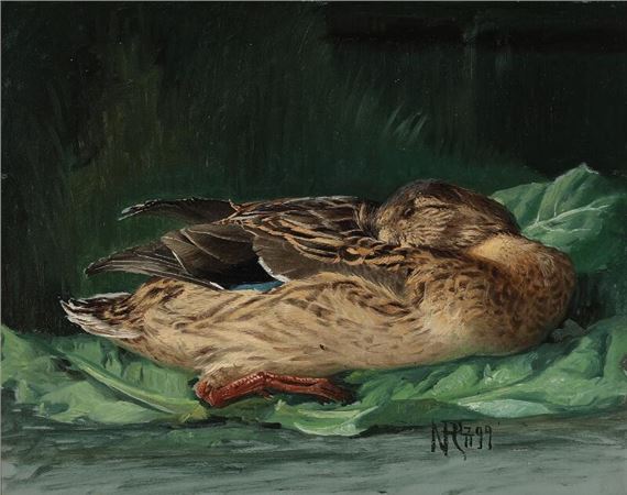 A sleeping duck by Niels Peter Rasmussen, 1911