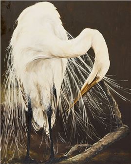 An egret - Joseph Gyurcsak