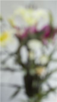 Wu Tsan-Cheng: Still Life - Lin & Lin Gallery, Taipei