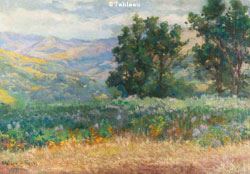 Paisagem - Augusto Luiz de Freitas