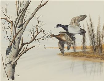 Two ducks in flight, 1979 - Al Dornisch