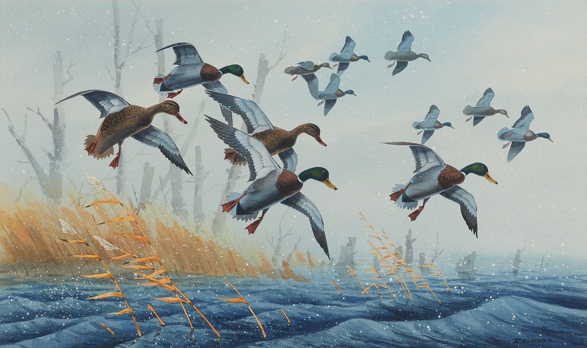 Jerry Raedeke | Landscape with ducks flying away in a wetland | MutualArt