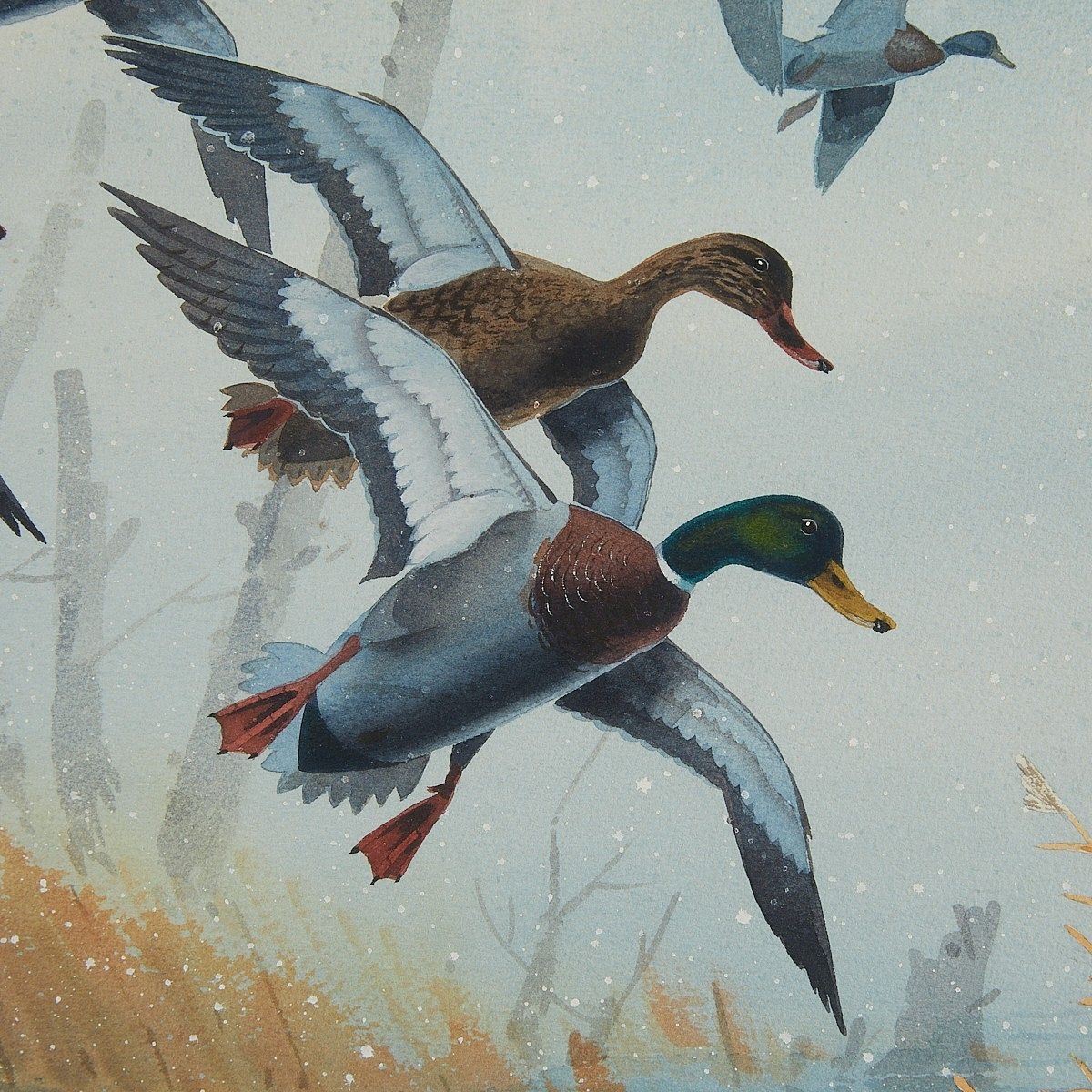 Jerry Raedeke | Landscape with ducks flying away in a wetland | MutualArt