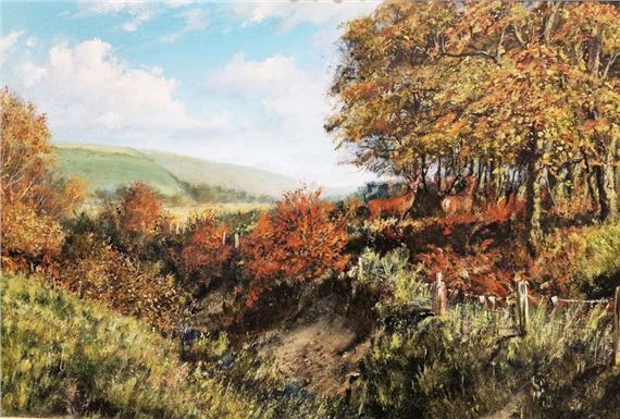 Hinds Going to Cover by Hugh Gurney