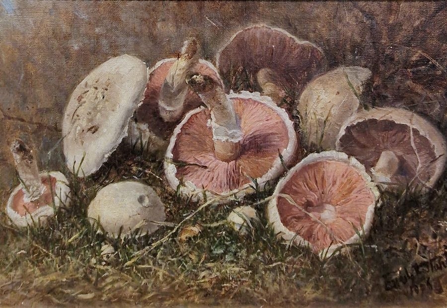 Rose Emily Stanton | Study of mushrooms in foliage (1906) | MutualArt