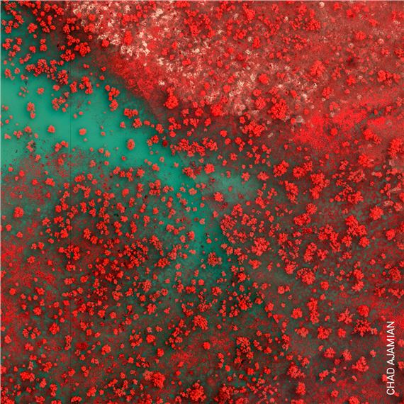 World Press Photo Exhibition - Palazzo Esposizioni Roma