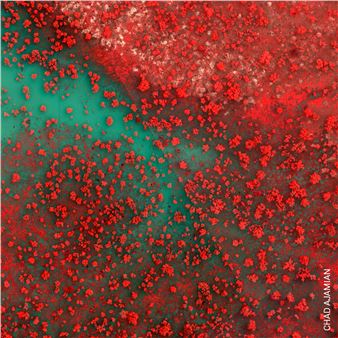 World Press Photo Exhibition - Palazzo Esposizioni Roma