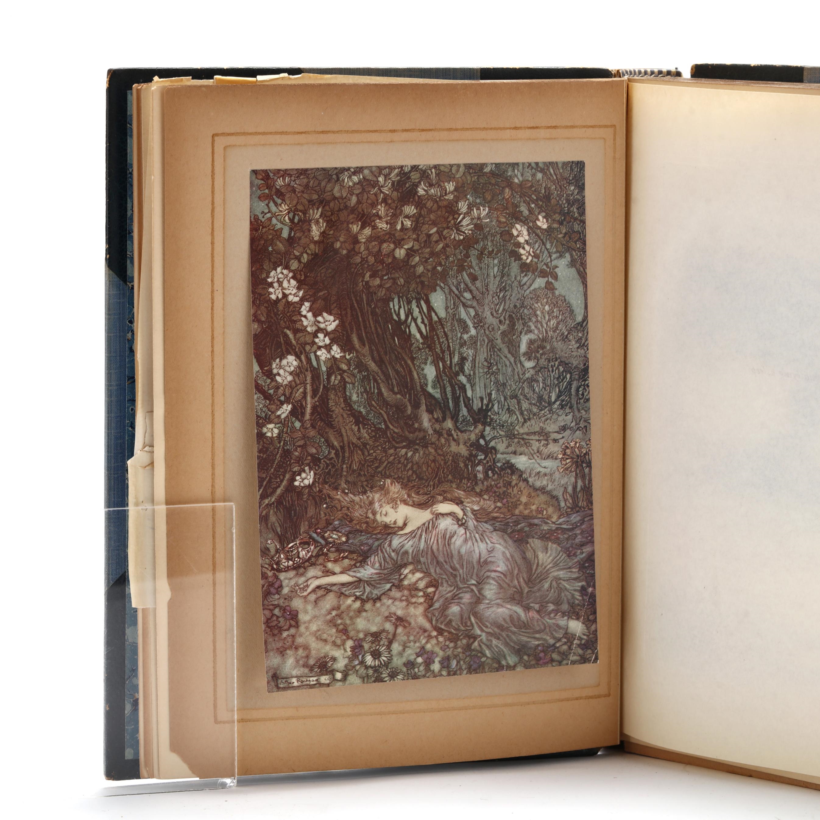 Arthur Rackham | A Midsummer Night's Dream Illustrated | MutualArt