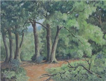 In Selborne Woods - Eric Street