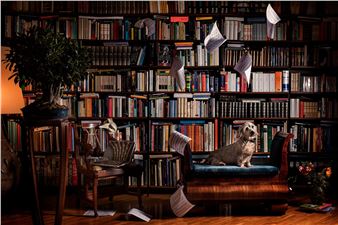 Francesco Pergolesi: Beware of the Dog - Catherine Edelman Gallery