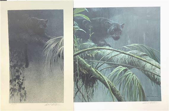 Robert McLellan Bateman | Black Jaguar & Shadow of the Rainforest ...