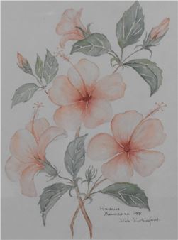 Hibiscus Belvidere - Didi Ritherford