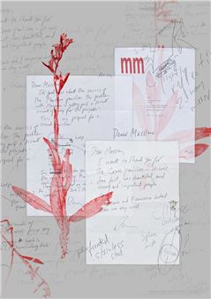 Andrea Trimarchi and Simone Farresin: Formafantasma: Archivio Massimo - Galleria Massimo Minini