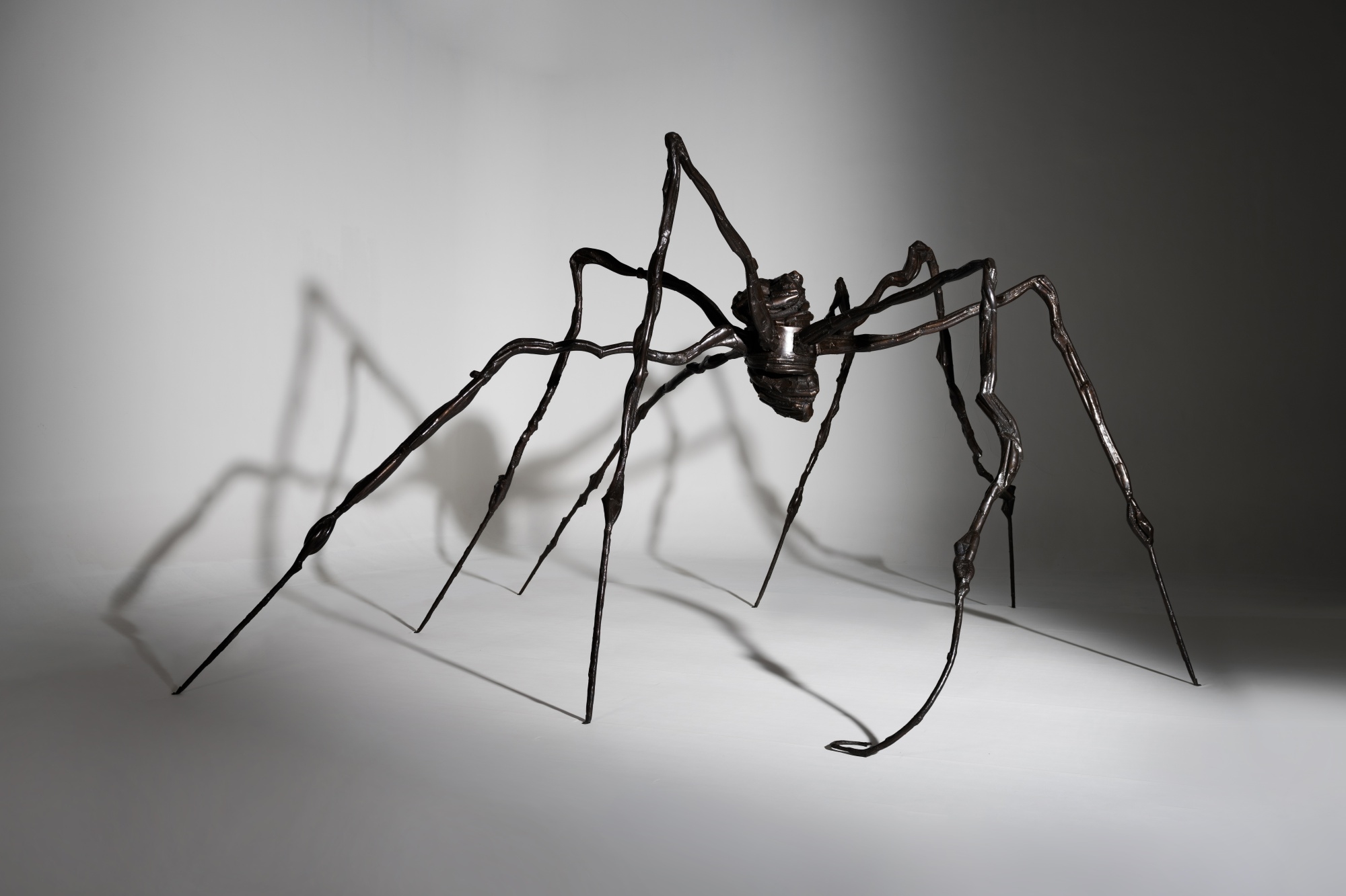 Artwork by Louise Bourgeois, Spider, Made of bronze