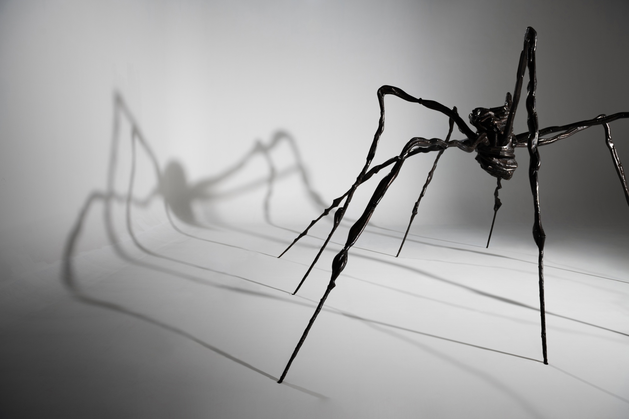 Artwork by Louise Bourgeois, Spider, Made of bronze