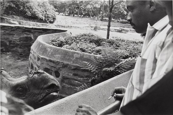 Garry Winogrand | The Animals (1962 - 1969) | MutualArt
