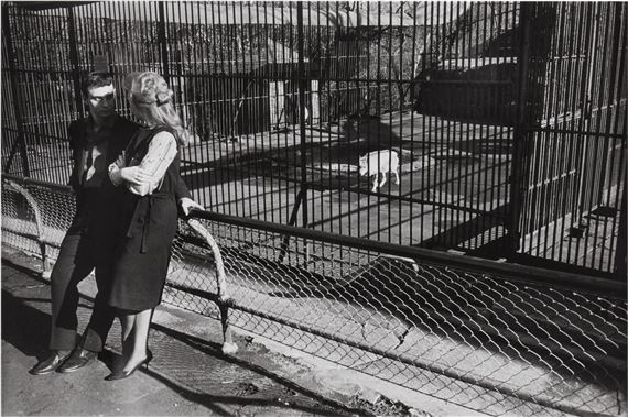 Garry Winogrand | The Animals (1962 - 1969) | MutualArt