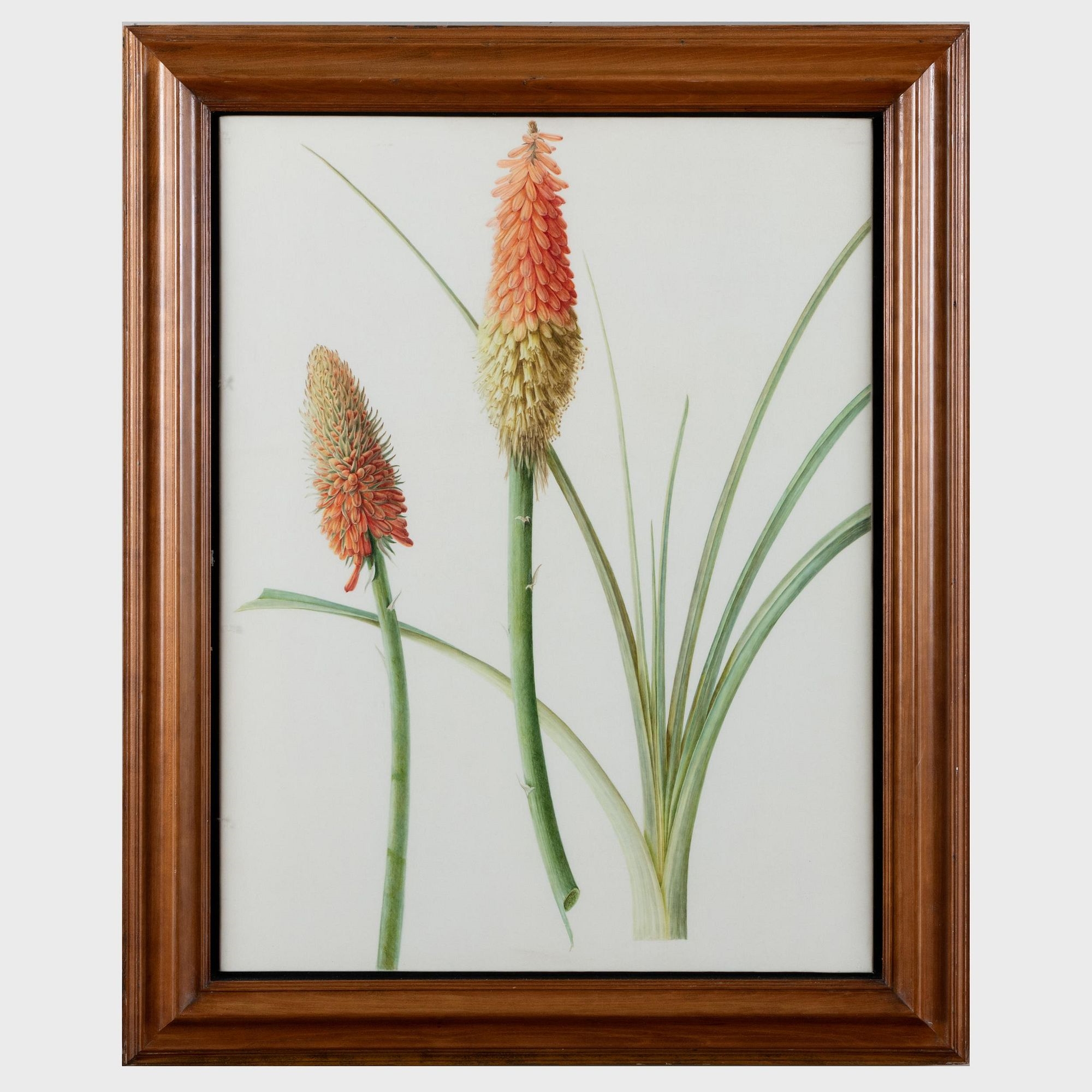 Red Hot Pokers; and Heliconia, Tjampuhan, Ubud by Brigid Edwards, 1999-2000