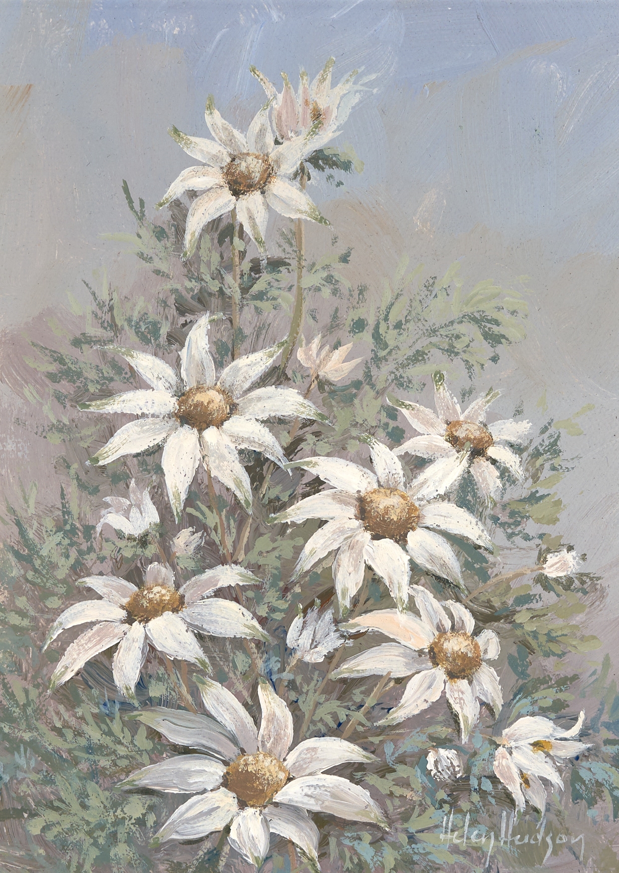 Artwork by Helen Hudson, Flannel Flowers, Made of oil on canvas board