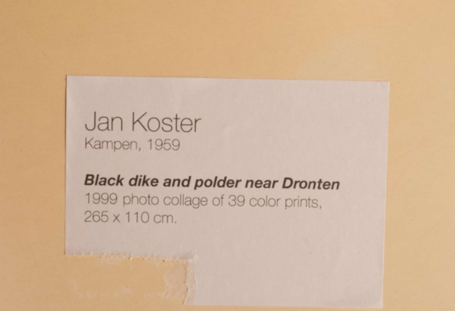 Jan Koster | Jan Koster (1959) | MutualArt