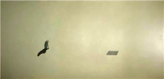 Woman Pedestrian - Leon Roubos