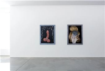 Jelena Telecki: I used to be good looking - Sarah Cottier Gallery