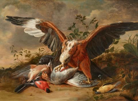 Vermoelen Jacob Xavier A hawk with his quarry: a Flemish jay, a male and a female bullfinch, and a grey partridge in a landscape with thistles and other wildflowers Oil on panel (parquetted). 62.5 x 88 cm. - Jacob Xaver Vermoelen