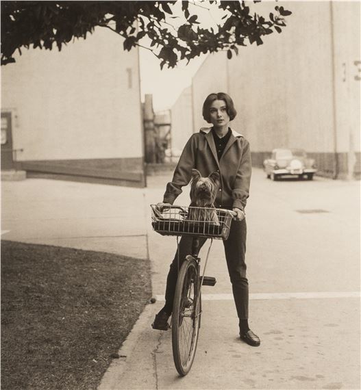 Audrey Hepburn on Her Bike with her Dog Famous at Paramount Studios by Sid Avery, 1957