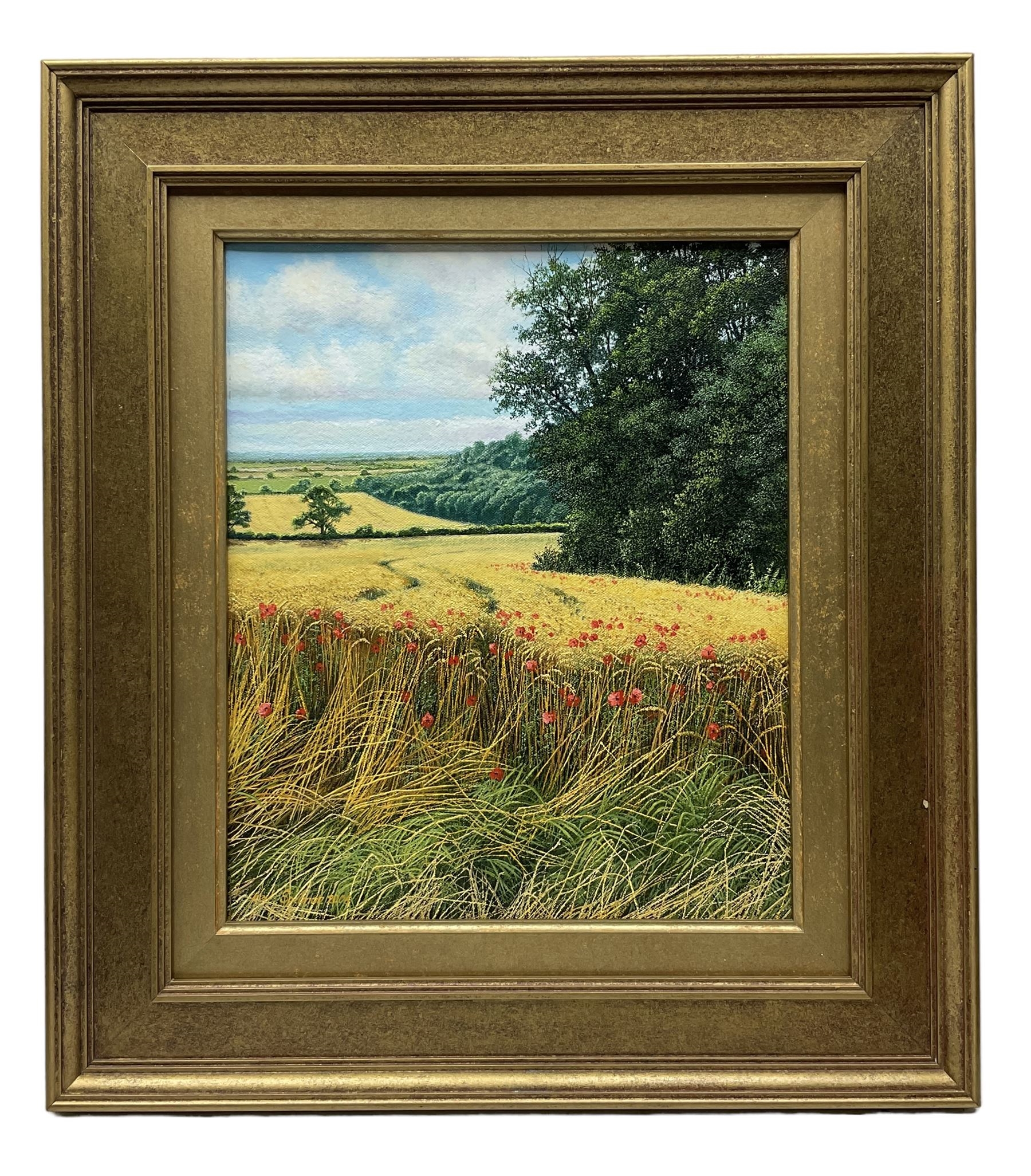 Neil Spilman | Summer over the Vale of York (2006) | MutualArt