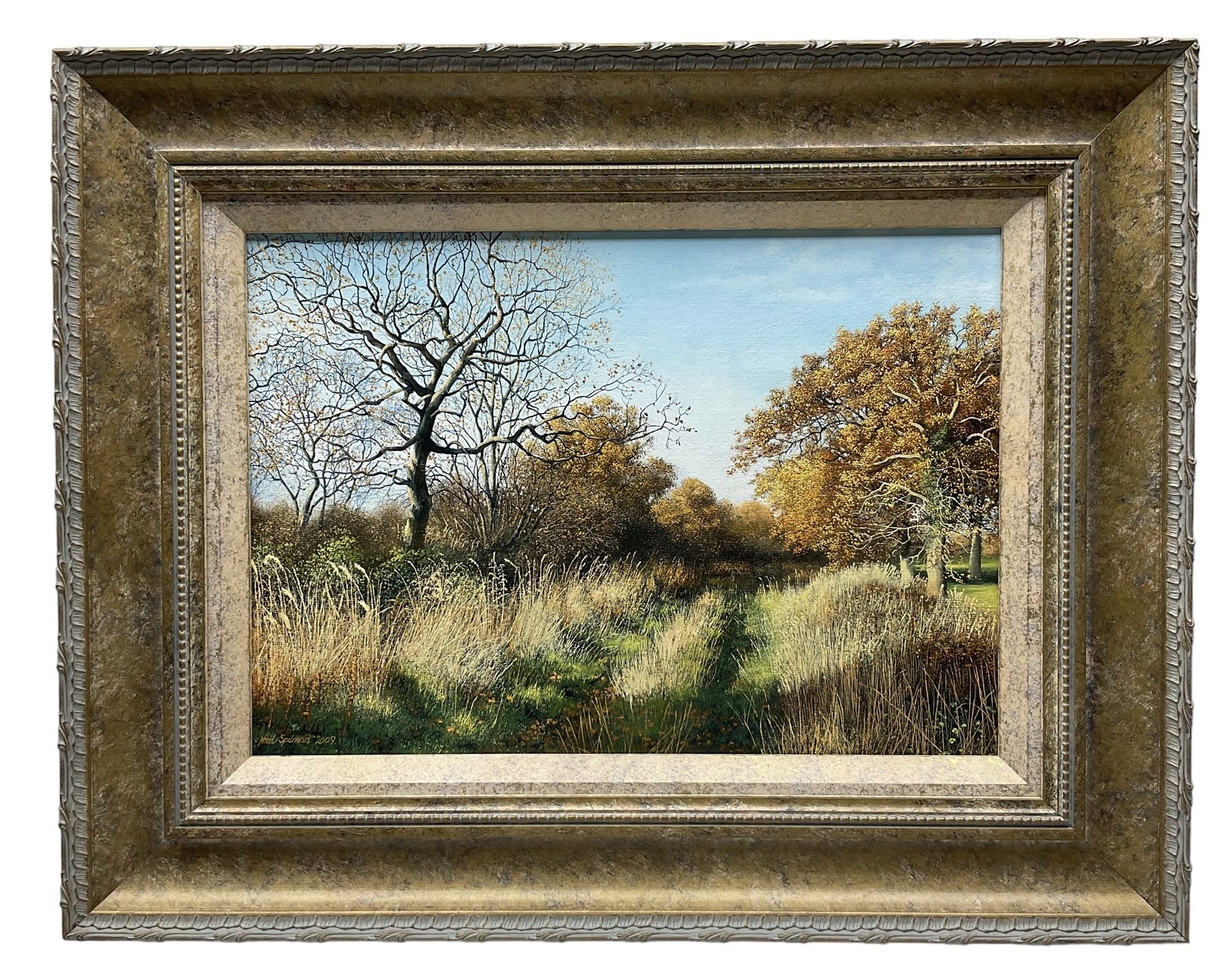Neil Spilman | Inner Moor Lane - Hemingbrough (2009) | MutualArt