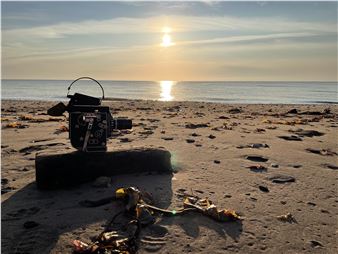 Coursing - Or Gallery