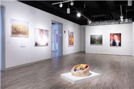 In the Galleries: Exploring New Methods of Image Transformation