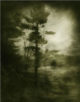 Zia Ayub: Ethereal: Photogenic - Drawings - Gallery Kayafas