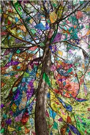 Sarah Anne Johnson's Mixed Media Interventions Reorient Traditional Perceptions of Landscape