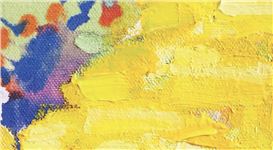 Newcity Breakout Artists: 20th Anniversary Edition Exhibition