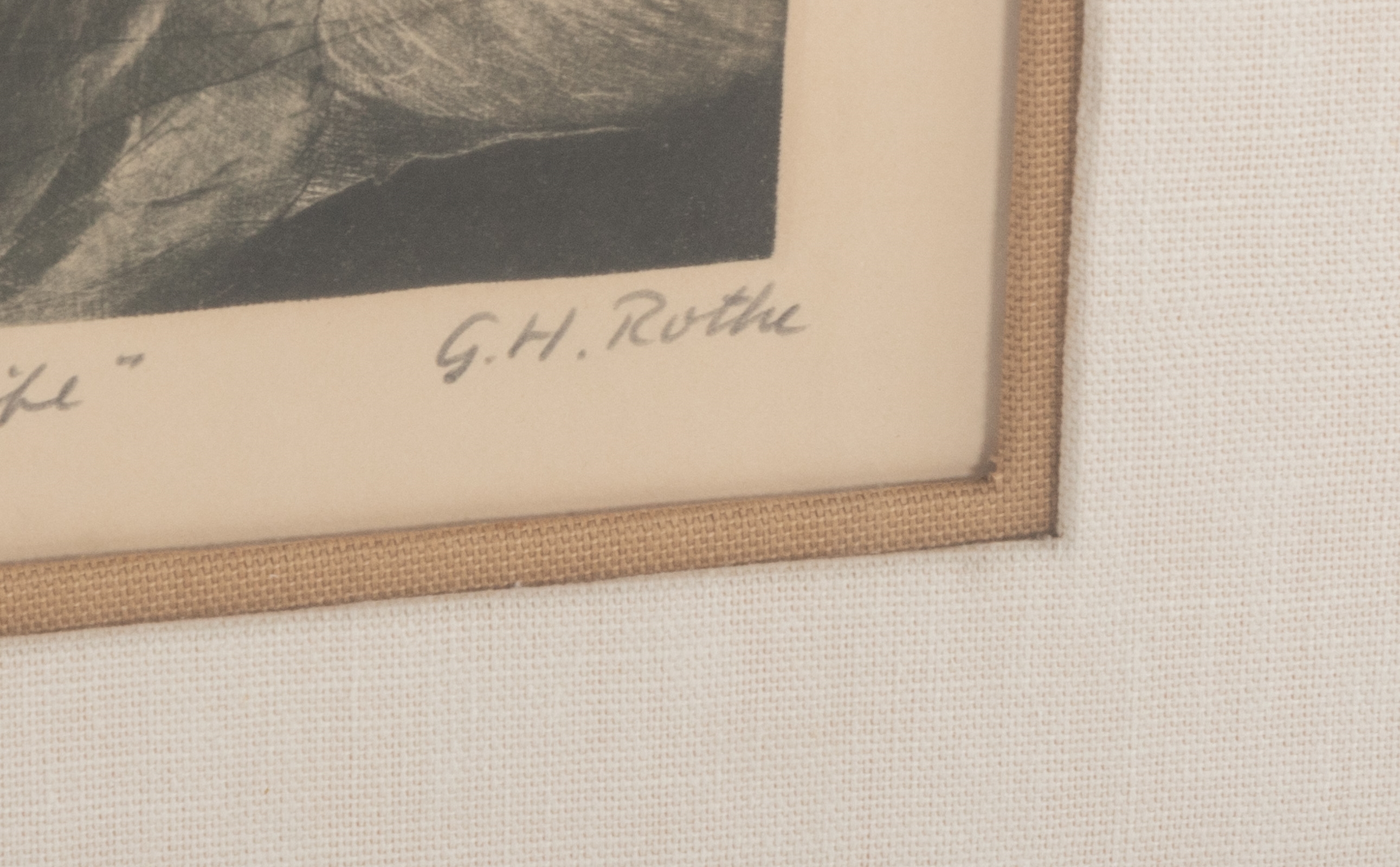Gatja Helgart Rothe | Flower Life | MutualArt