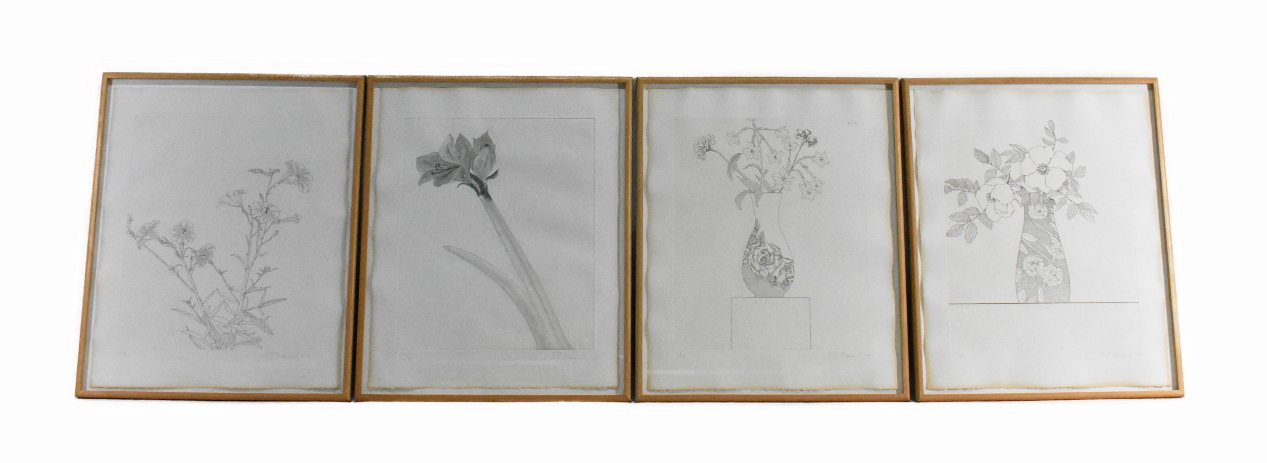 Ed Baynard | White Poppies, 1980 (1980) | MutualArt