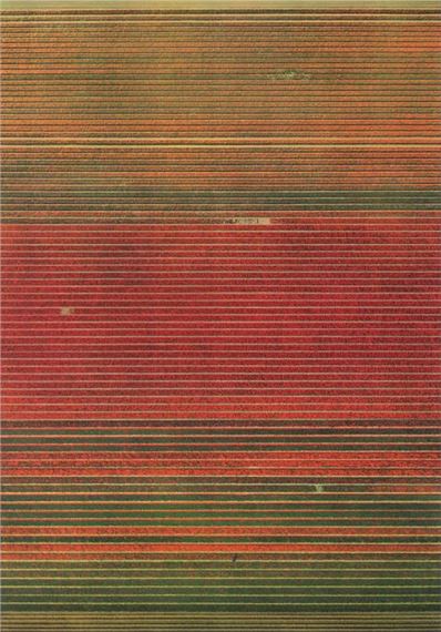 Untitled XVIII by Andreas Gursky, 2016