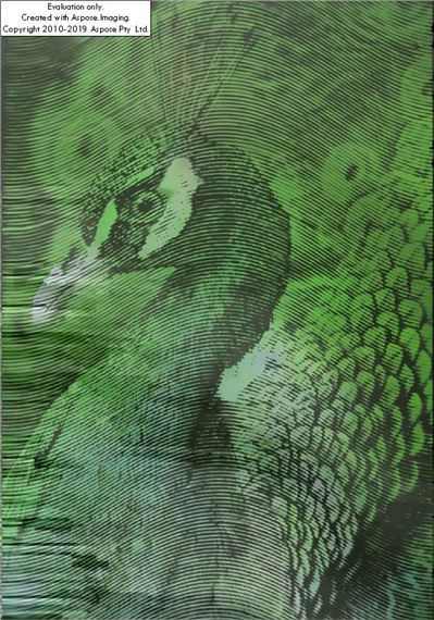 "Olympeacock IV" - Kamil Kmiecik