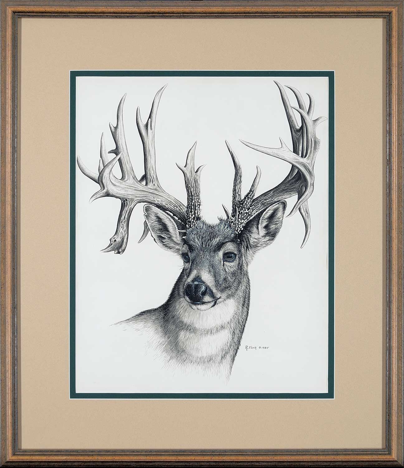 Randy Fehr | Untitled - Deer Portrait (1985) | MutualArt
