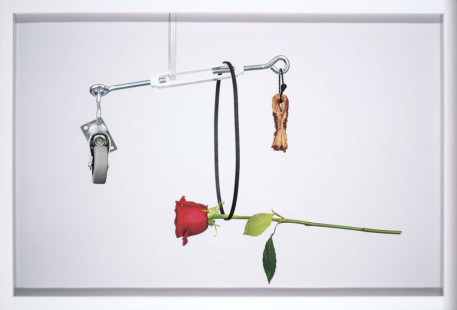 Artwork by Emily Promise Allison, Soft Entropy, Made of digital photograph on paper