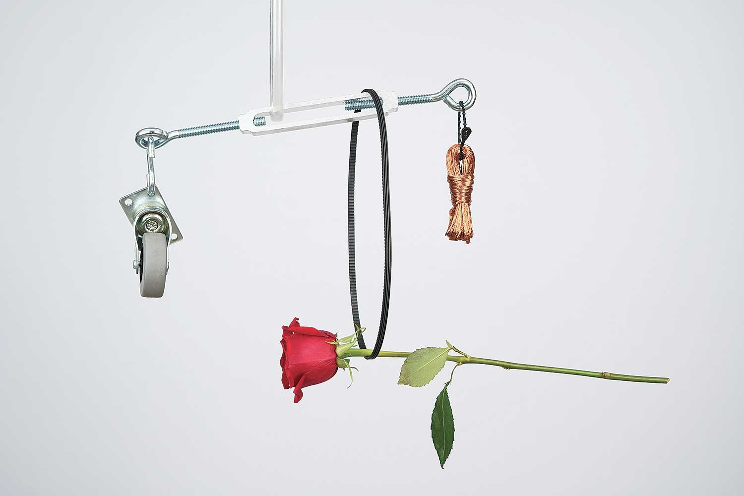 Artwork by Emily Promise Allison, Soft Entropy, Made of digital photograph on paper