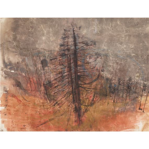 FIR TREES PERTHSHIRE