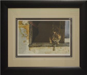 A kitten on a window sill, about to jump out of the window - Brian Darcy