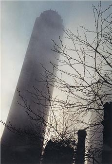 The city begod the must series - Karina Chechik