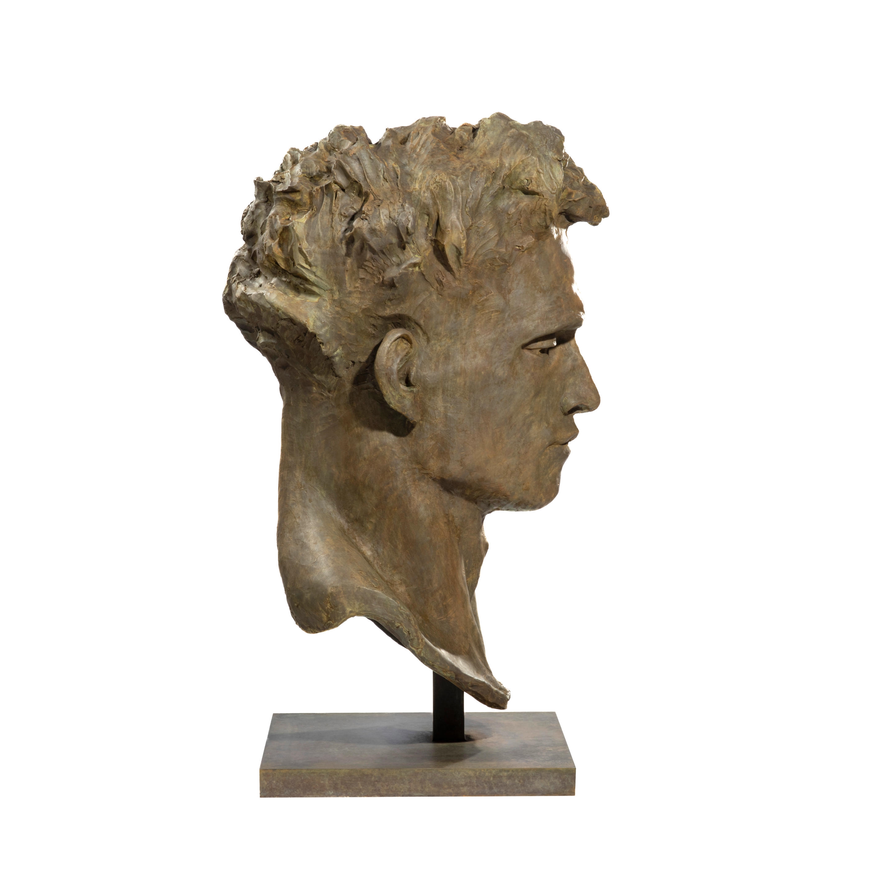 Artwork by Christophe Charbonnel, Tête de Colosse, Made of bronze