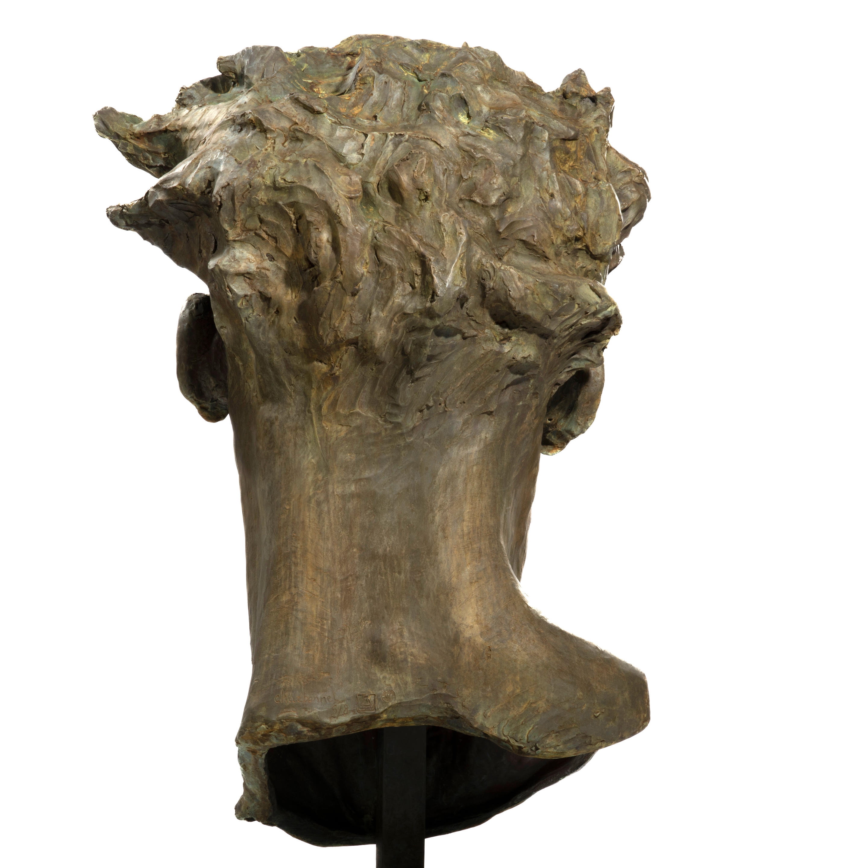 Artwork by Christophe Charbonnel, Tête de Colosse, Made of bronze